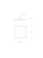 Лейка тропического душа квадратная нерж.сталь RK250NM чёрный