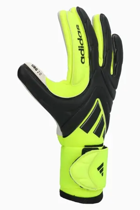 Вратарские перчатки adidas Copa Pro