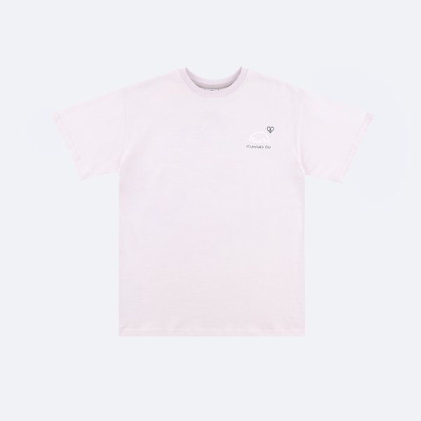 Футболка Anteater Tee 405 Probably (grey) артикул: - купить в магазине Дайс
