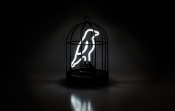 Светильник неоновый bird in a cage