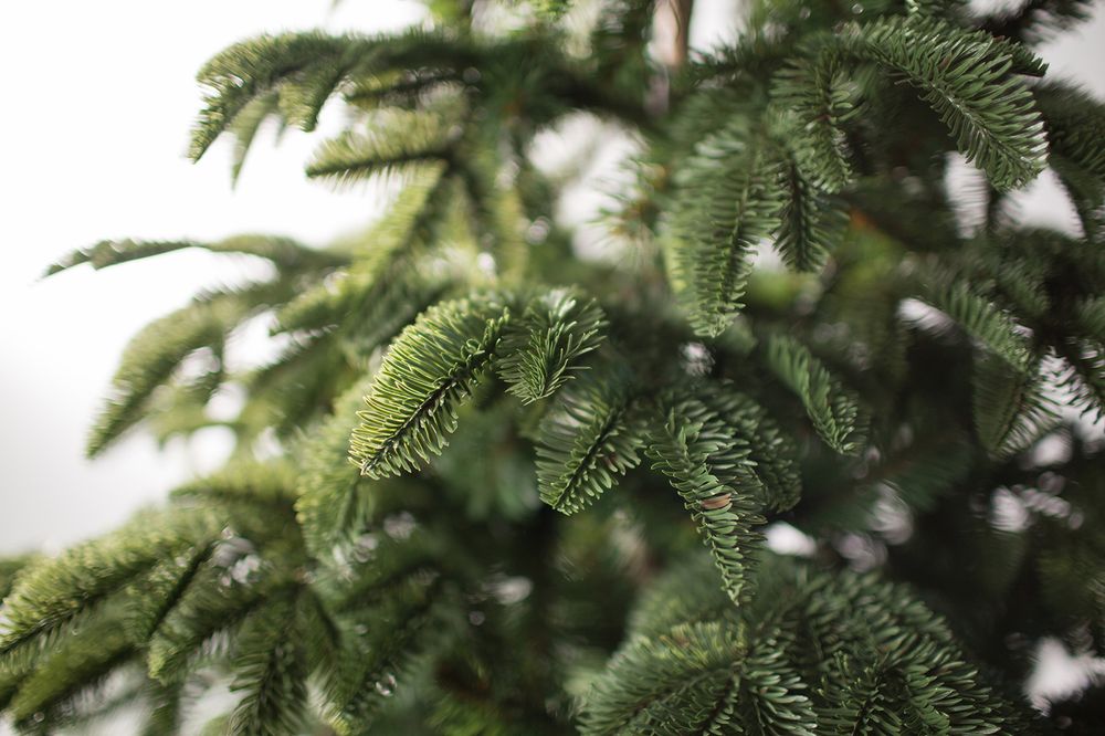 Ель искусственная «ОНТАРИО» (Литая+пвх) 210 см / 2,1 м