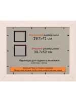 Рамка для постера и фотографий 29,7x42