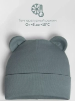 Шапка для мальчика осенняя с ушками и снуд