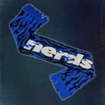Шарф NERDS