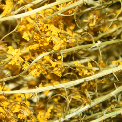 Веник для бани Сурепка Пучок