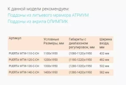 Душевая дверь в нишу Bas Puerta WTW 130*195 без поддона