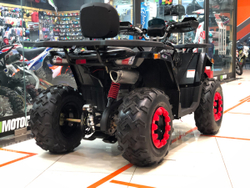 AVANTIS HUNTER 200 BIG LUX баланс.вал 2021г (Черный)