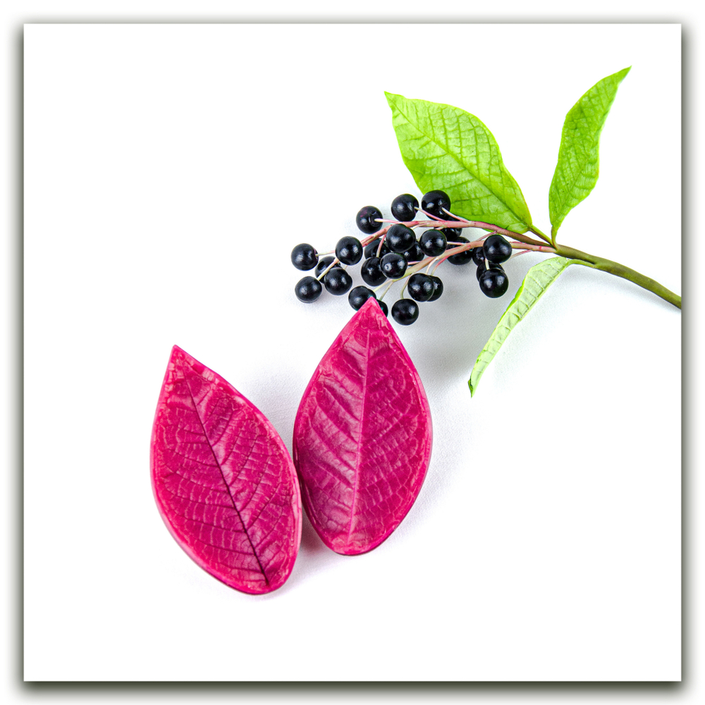 Листья черёмухи средние