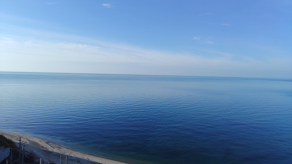 Обучающий курс для новичков 24 января - 01 февраля 2026