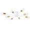 Потолочная люстра Arte Lamp Alastor A6702PL-8WH