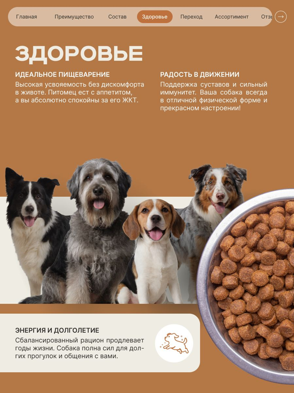 Корм сухой для пожилых собак породы Французский бульдог старше 7 лет, с индейкой, 3 кг, QUATTRO