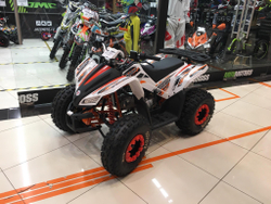 ATV Motoland 125 COYOTE