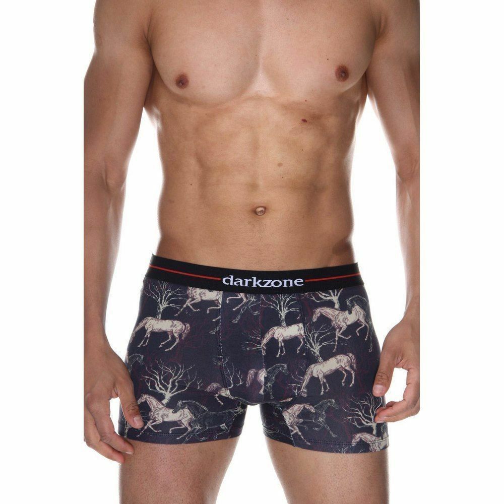 Трусы мужские боксеры разноцветные DARKZONE DZN2077