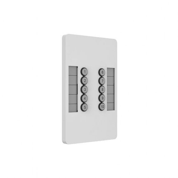 Пульт SnakeSys 10Scene Wall Plate (Dual Pack)