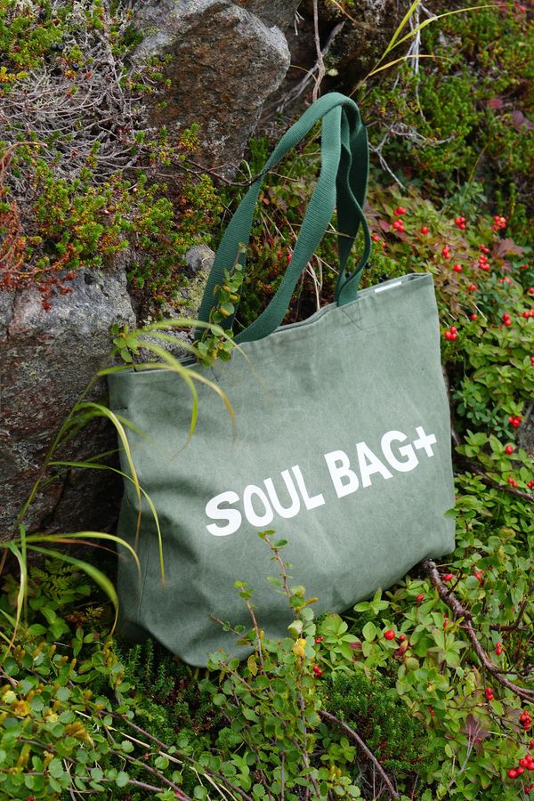 Сумка Soul Bag+ Луг - фото 4