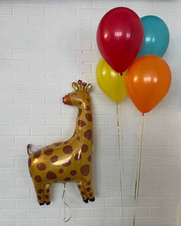 "Яркие брызги" (набор из 5 шаров. Жираф) №8537