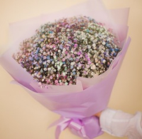 Bouquet of gypsophila flowers max