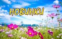 Новое поступление