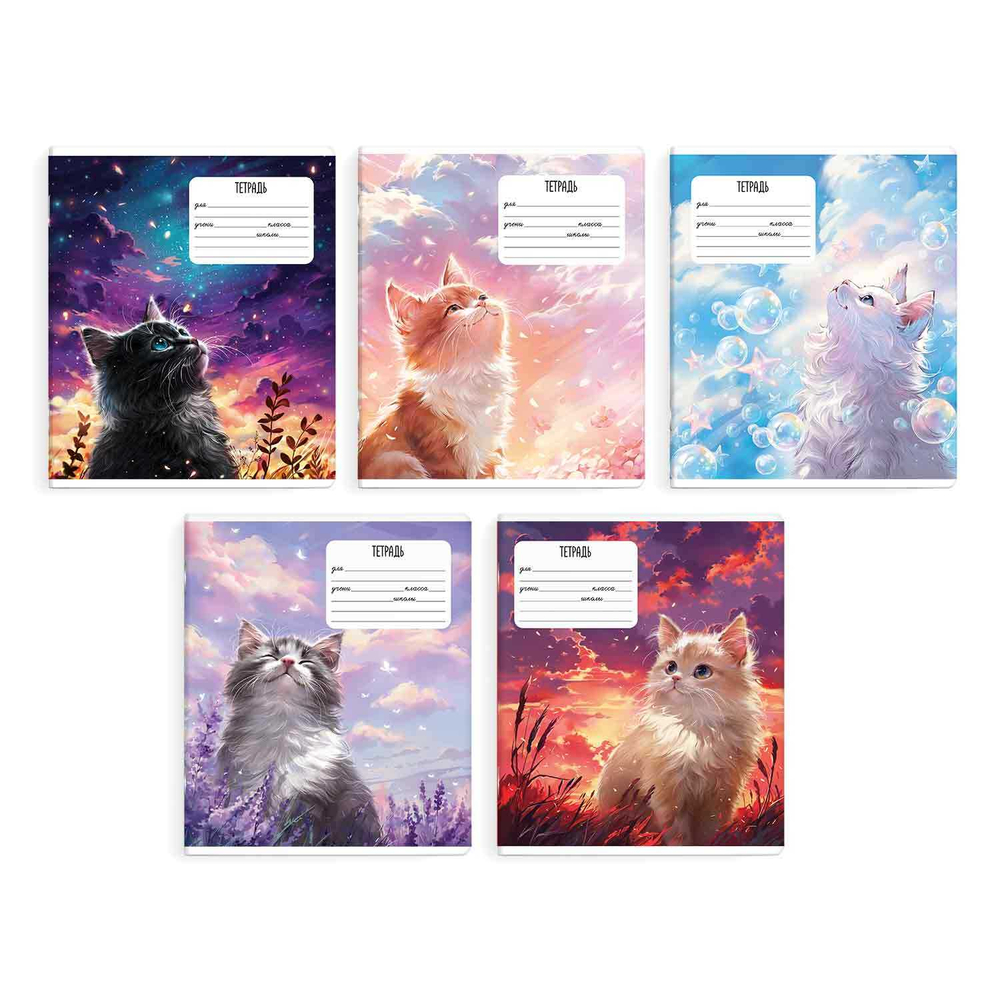 da7c5dcf_4fec_11ef_ba97_d05099d5d12d_0d6f6743_71ca_11ef_ba97_d05099d5d12d