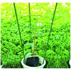 GFS-3-60 GREEN APPLE Поддержка для цветов 3 кольца 60см | GREEN APPLE