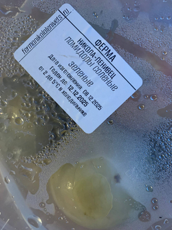 Зелёные солёные помидоры броженые бочковые