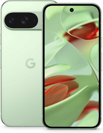 Смартфон Google Pixel 9 128 ГБ Зимний зеленый