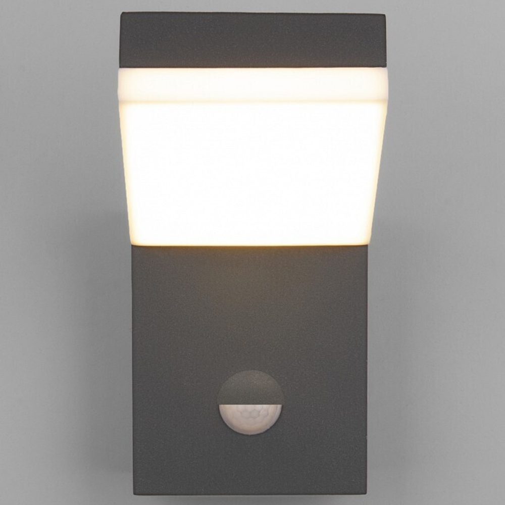 Уличный настенный светильник Elektrostandard 1541 TECHNO LED черный