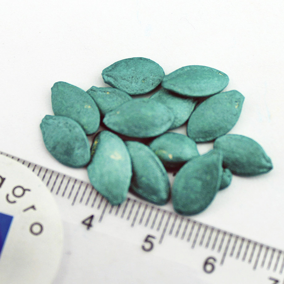 Санни Делайт F1 семена патиссона (Seminis / ALEXAGRO) семена – фото 10