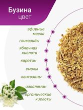 Бузина цвет