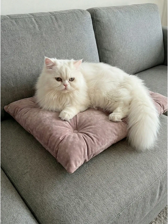 Лежанка для кошек и собак