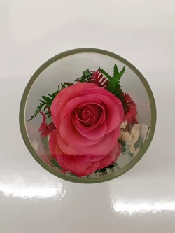 натуральные кустовые розы в стекле, вакуум*
