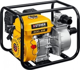 Steher