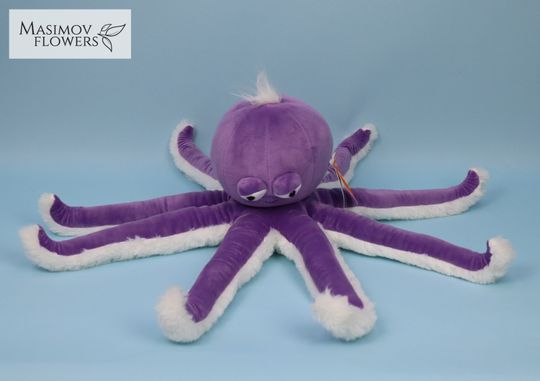 Осьминог фиолетовый