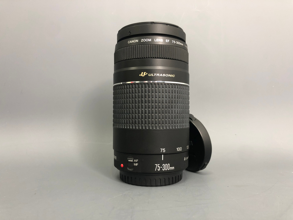 Canon EF 75-300mm 4-5.6 III