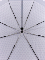 Зонт Fabretti UFLR21-3