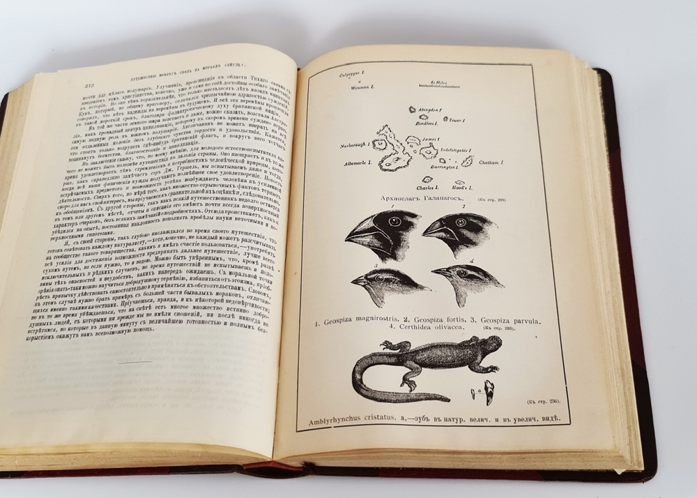 "Собрание сочинений.  В четырех томах."  Ч.Р.Дарвин. 1901 г.