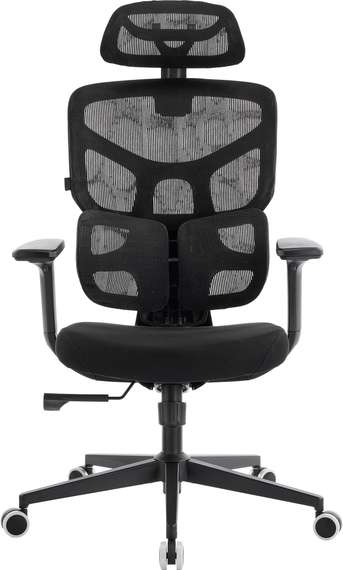 Эргономичное кресло Omega Black Сетка Черный