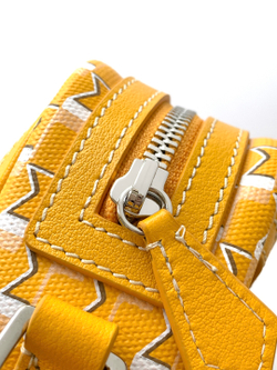 Moynat Camera Bag 22 cm