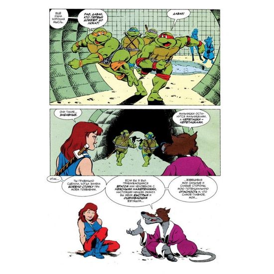 Черепашки-Ниндзя: Приключения. Том 7. Найти и уничтожить