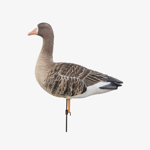 Чучела гусей