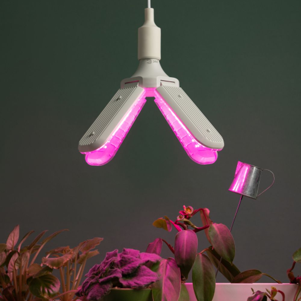 Фитолампа для растений светодиодная ЭРА GREEN LINE ФИТО-40W-PL-E27-GR 4-х лепестковая красно-синего спектра 40 Вт Е27 | Фитолампы Е27