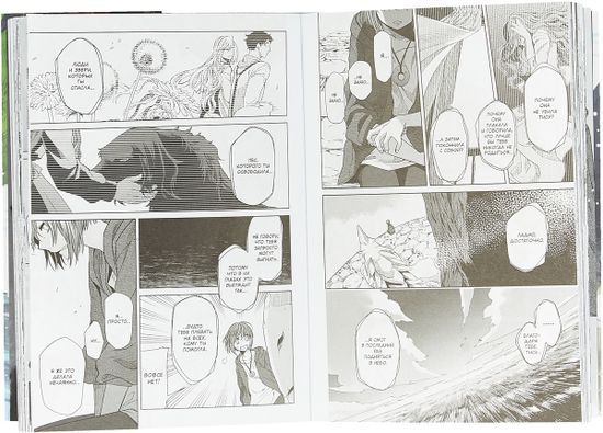 манга Невеста чародея т 4