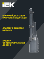 Светильник LED консольный ДКУ 1002-30Д 5000К IP65 серый IEK