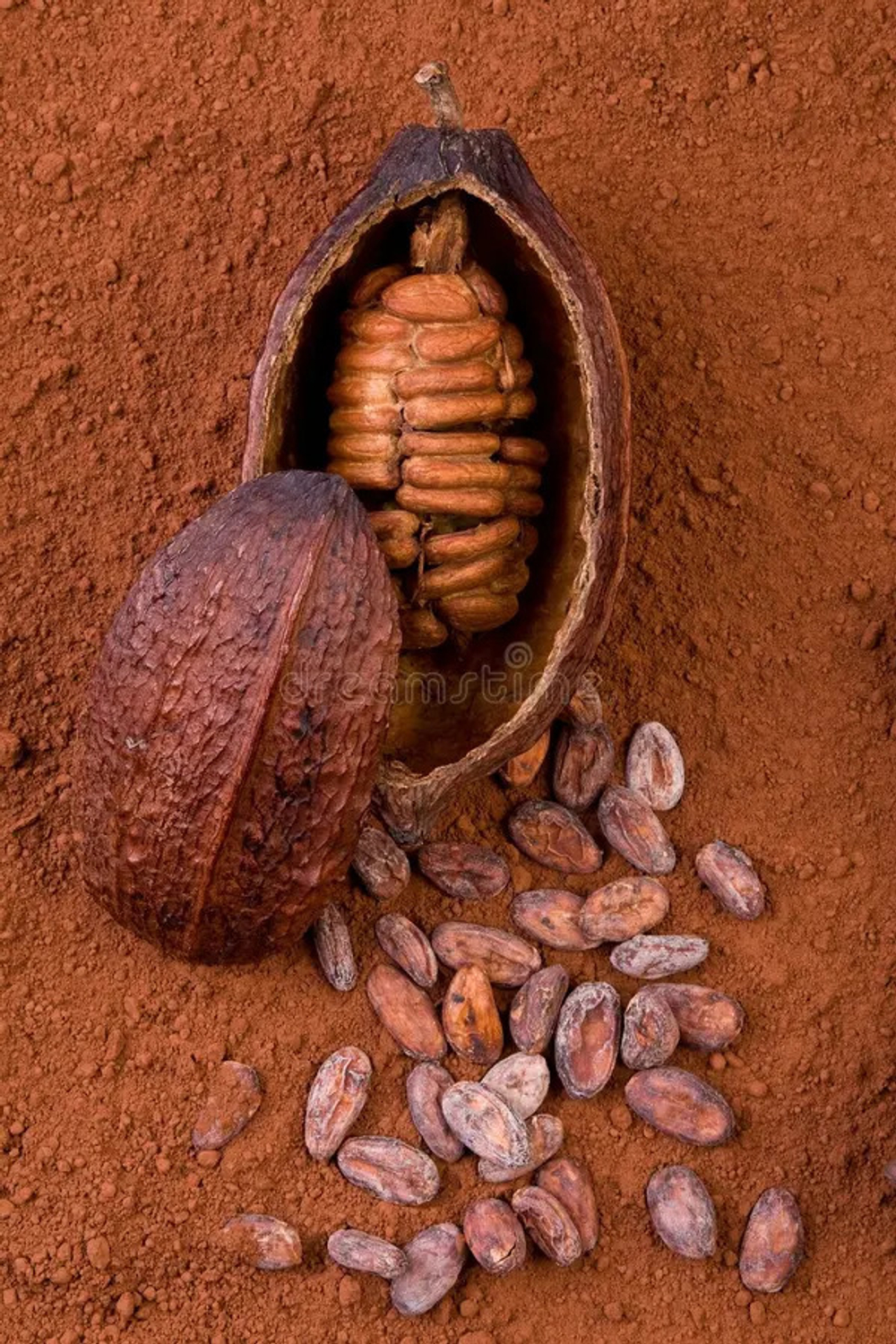 COCOA ABS 50% ALC / КАКАО абсолют CAS 84649-99-0