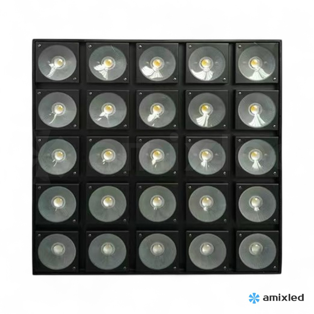 25 Matrix panel