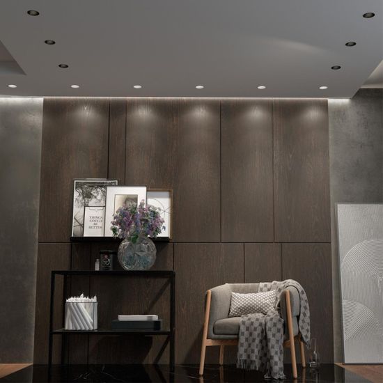 358909 SPOT NT22 442 черный Встраиваемый светодиодный светильник с переключателем цветовой температуры IP20 LED 3000К\4000К\6000К 12W 220V LANG