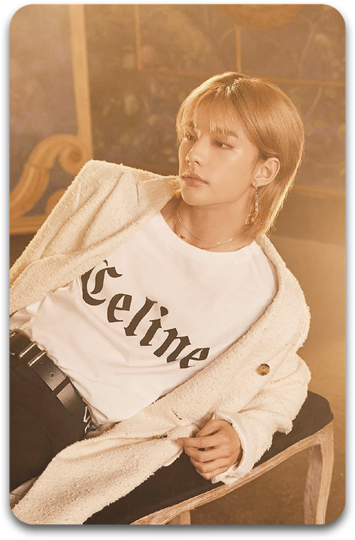 Карта / STRAY KIDS #3179