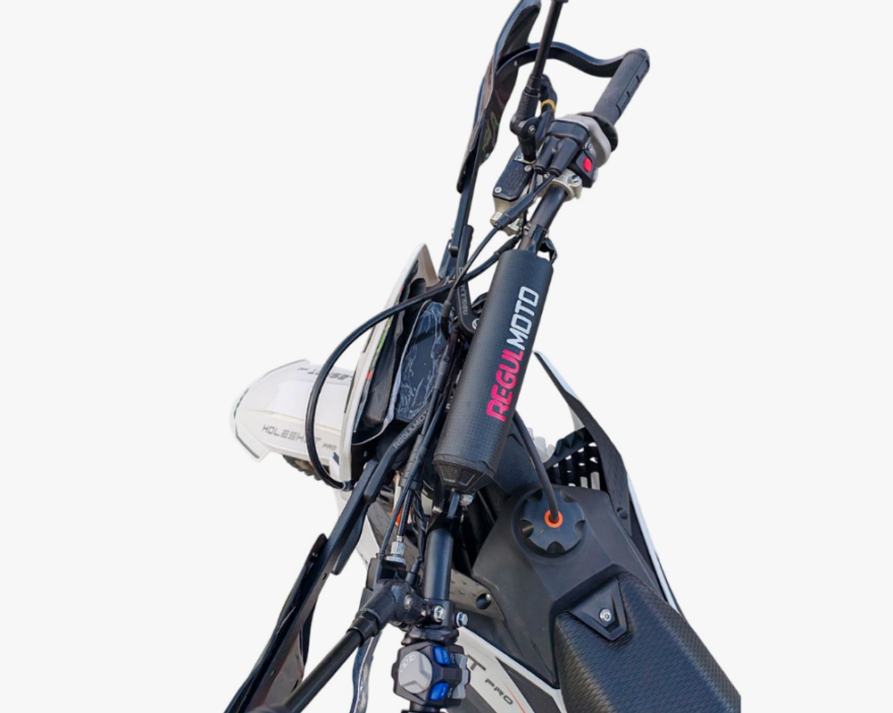 Мотоцикл Regulmoto Holeshot 300 pro (ZS PR300 PRO) с ПТС