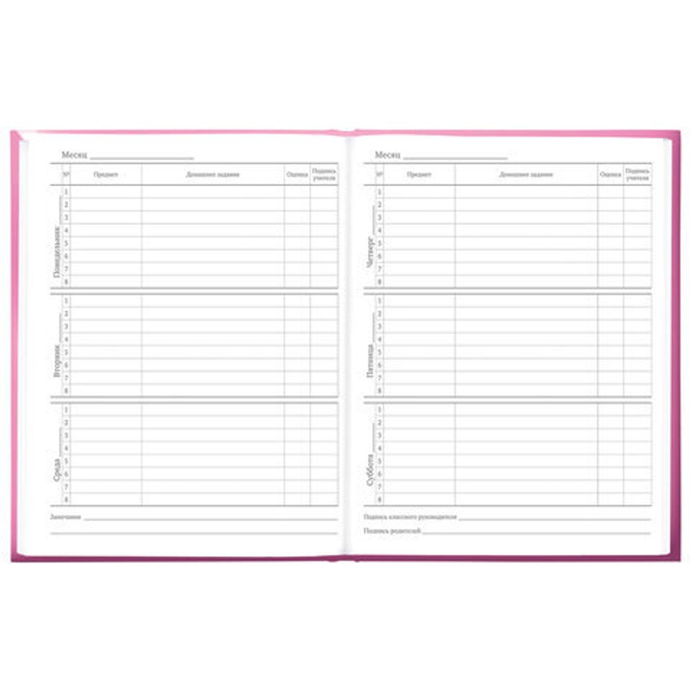 Дневник 5-11 класс 48 л., твердый, BRAUBERG, выборочный лак, с подсказом, "Brings Joy", 107194