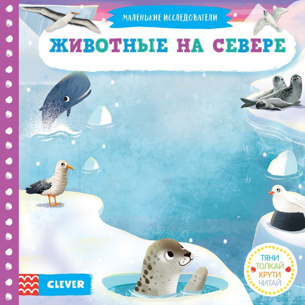 Тяни, толкай, крути, читай. Животные на севере